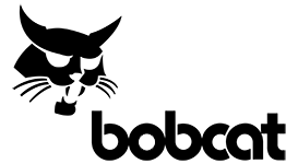 bobcat